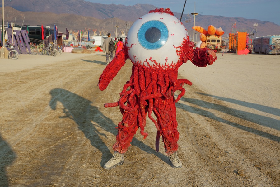 A striking creature at the annual Burning Man festival, an artistic extravaganza in the Nevada desert, 100 miles from Reno