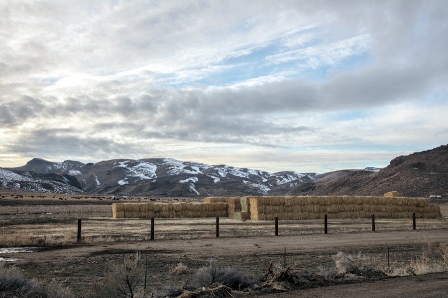 Hay bales in desolate northern Nevada, near the town of Palisade