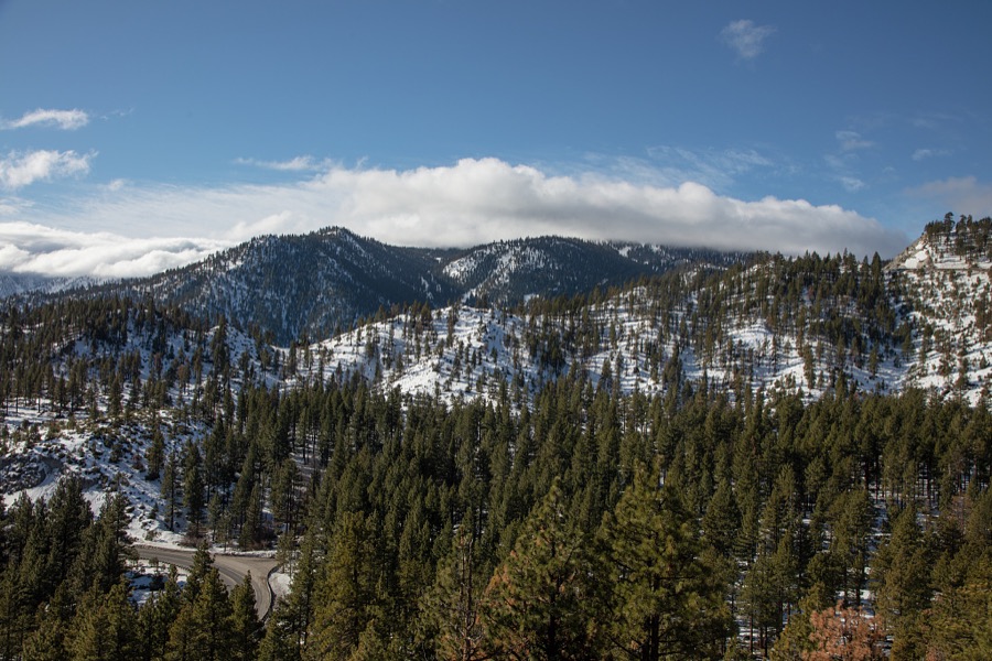 Scene in the Sierra Nevada Mountains, near the Nevada side of Lake Tahoe