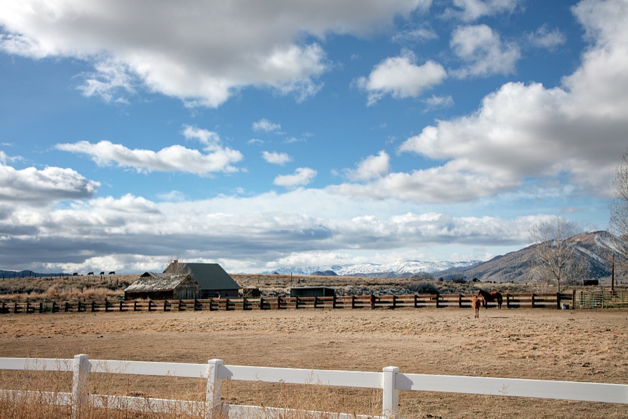A remote horse corral in a relatively little-traveled part of the western state of Nevada, in a vast valley ringed by low mountains south of Reno and east of the angled California line, near the small towns of Gardnerville, Wellington, and Yerington