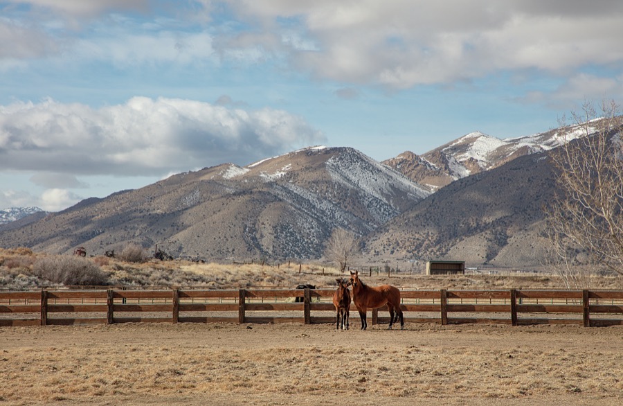 A remote horse corral in a relatively little-traveled part of the western state of Nevada, in a vast valley ringed by low mountains south of Reno and east of the angled California line, near the small towns of Gardnerville, Wellington, and Yerington