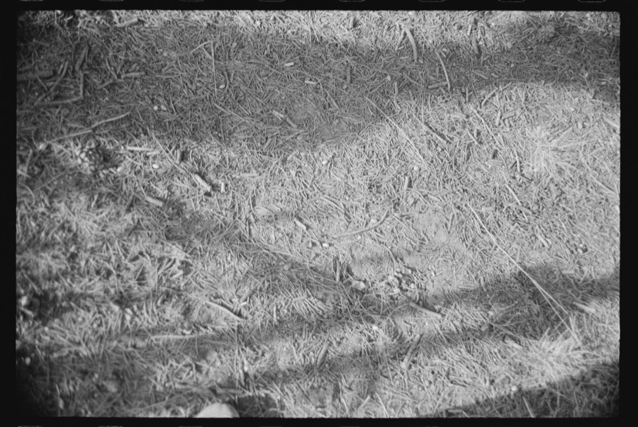 Gravestones, Austin, Nevada; Benny Damele and Bob Eddy, Dry Creek Ranch, Lander County, Nevada