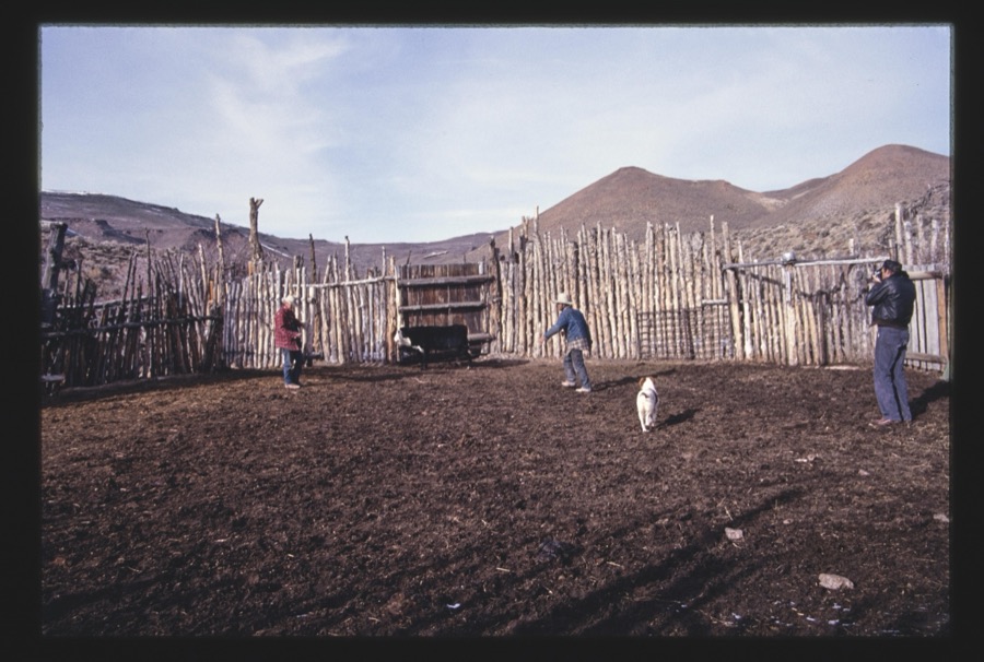 Benny Damele and Bob Eddy, Dry Creek Ranch, Lander County, Nevada