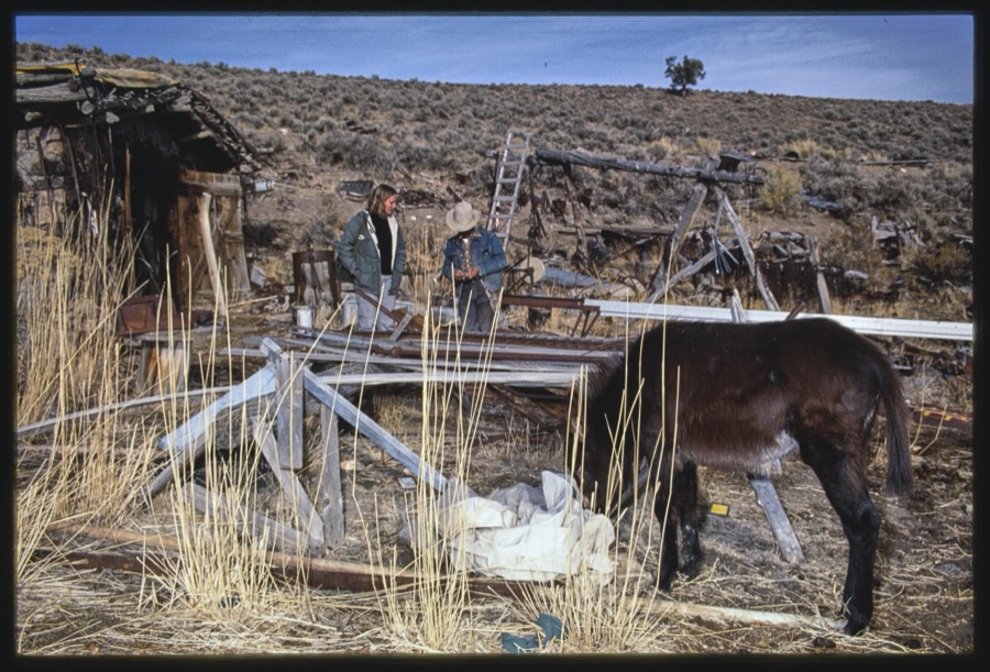 Dry Creek Ranch, Lander County, Nevada: Benny Damele; Eureka, Nevada: scenes, old assay office