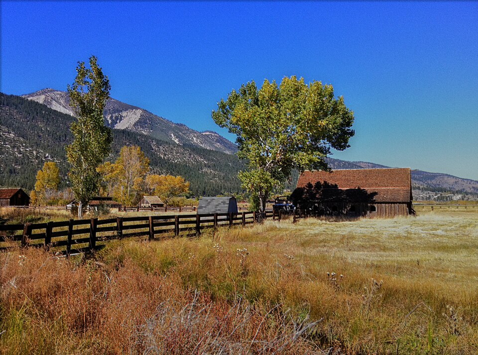 Photograph of Twaddle-Pedroli Ranch