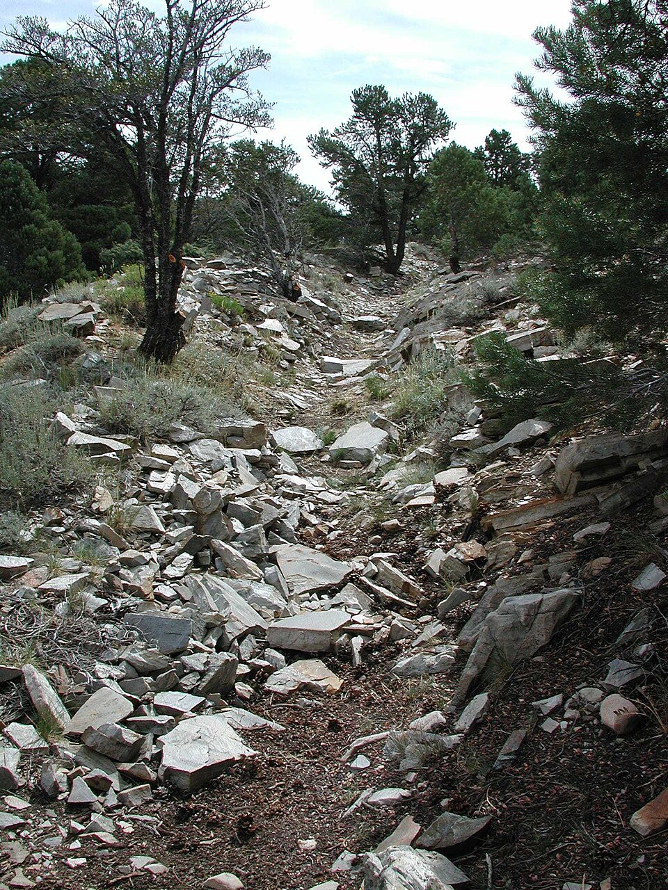 Photograph of Osceola Ditch