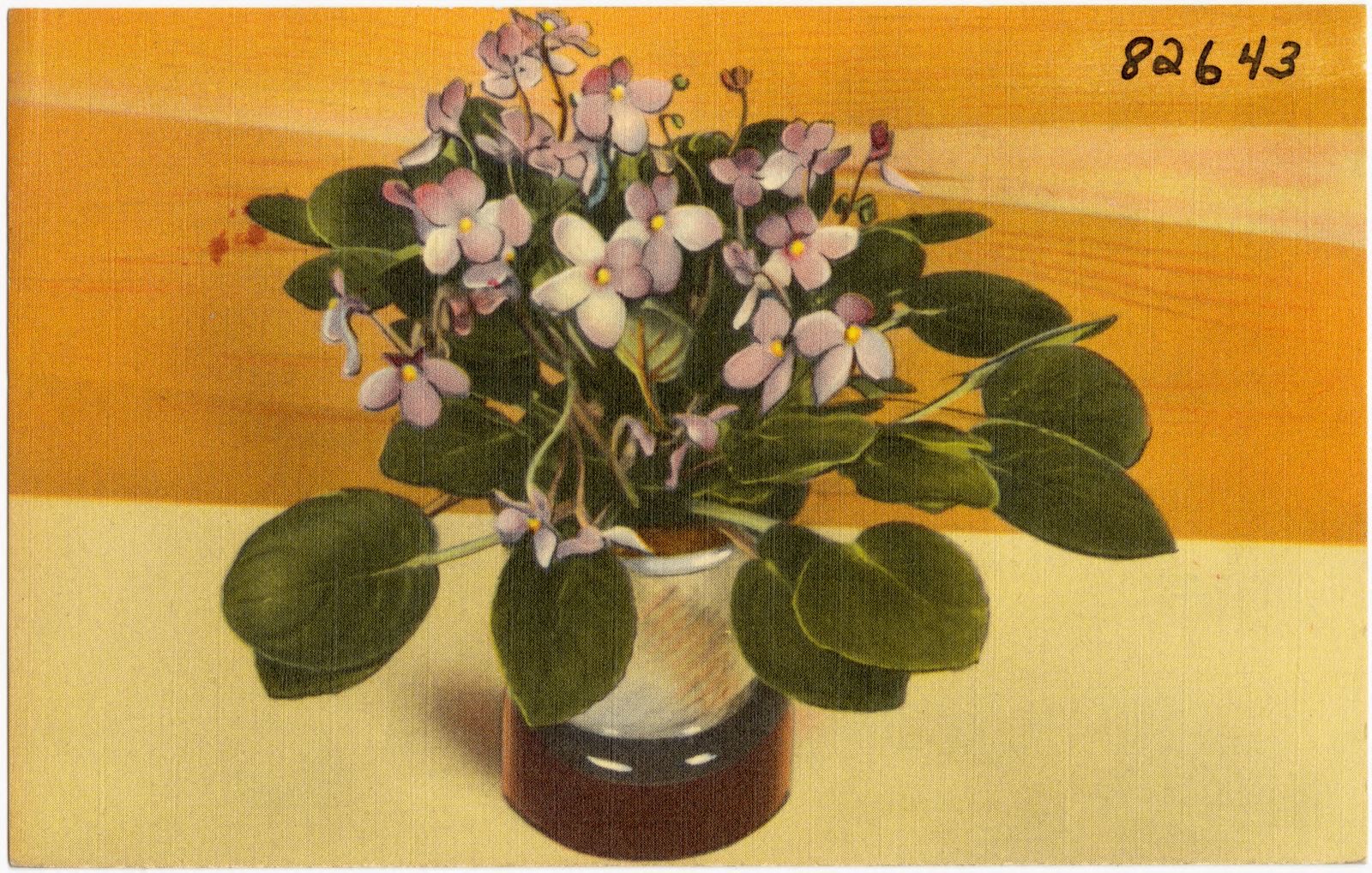 Virdans Farms, Phelps, N. Y., Boston Public Library - undated