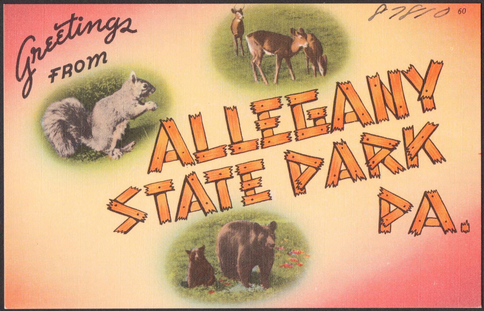 Greetings from Allegany State Park, Pa., Boston Public Library - undated