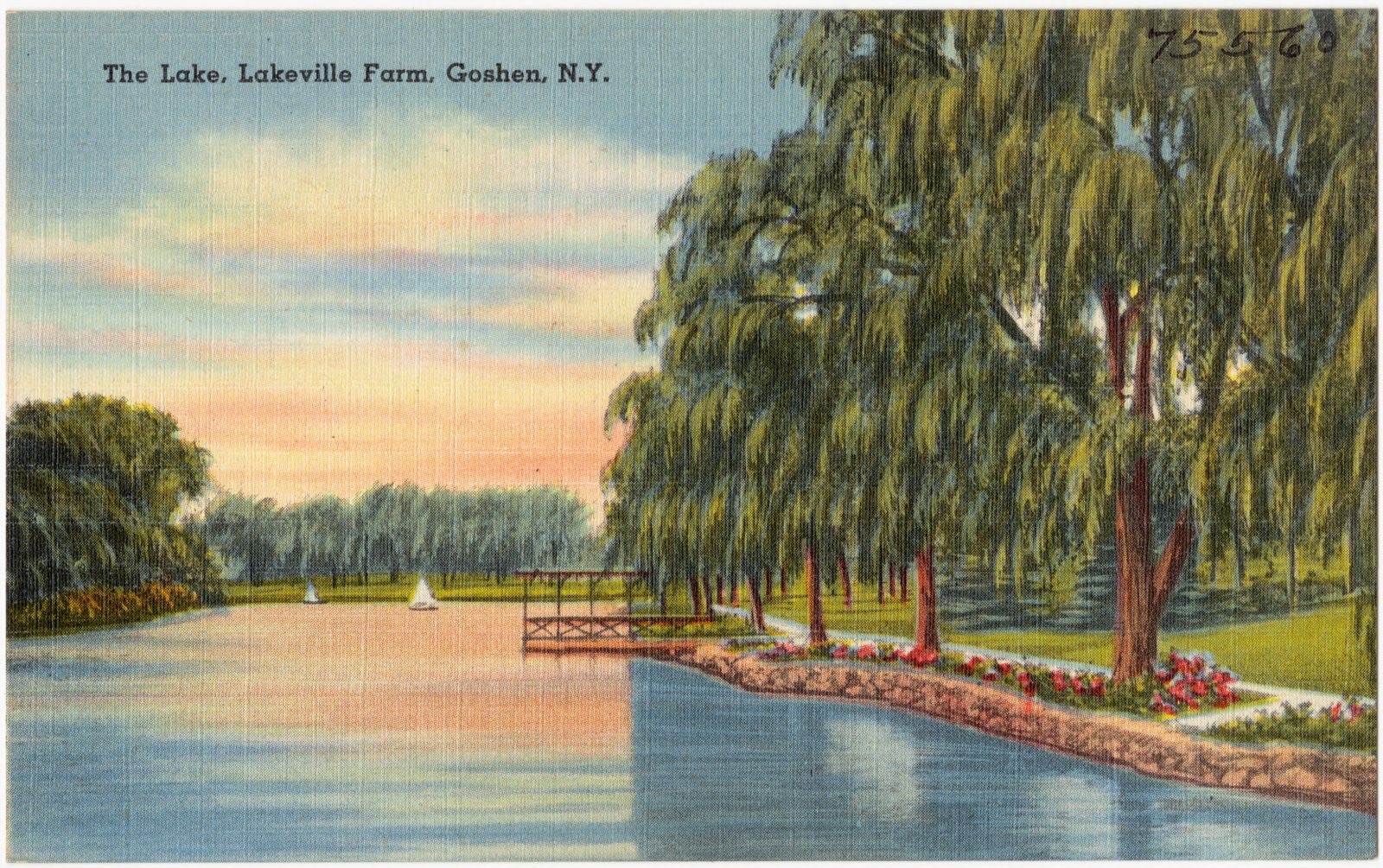 The lake, Lakeville Farm, Goshen, N. Y., Boston Public Library - undated