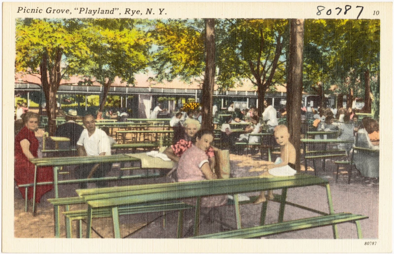 Picnic grove, "Playland", Rye, N. Y., Boston Public Library - undated
