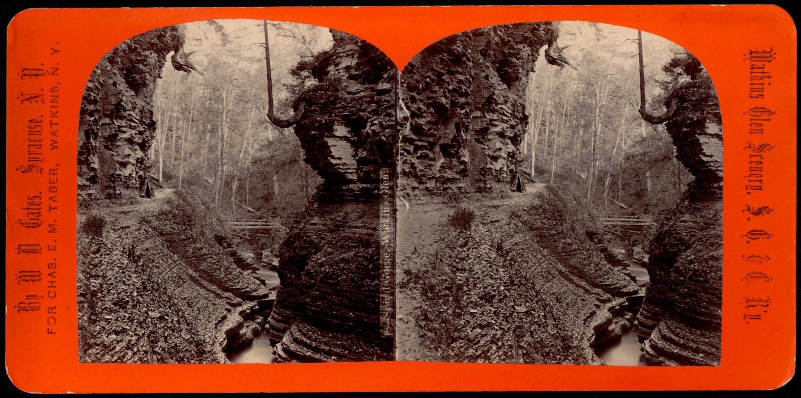 Spiral Gorge. Watkins Glen, Boston Public Library - undated