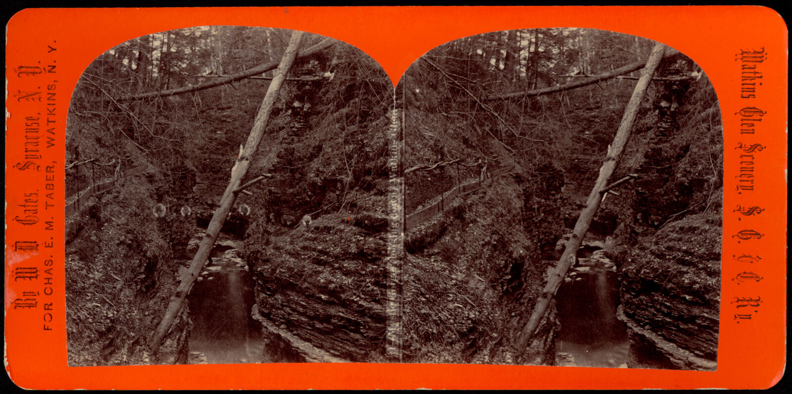 Mystic Gorge (looking down). Watkins Glen, Boston Public Library - undated