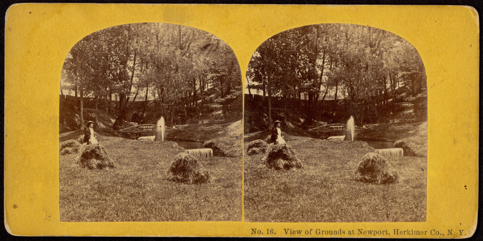 View of grounds at Newport, Herkimer Co., N.Y., Boston Public Library - undated