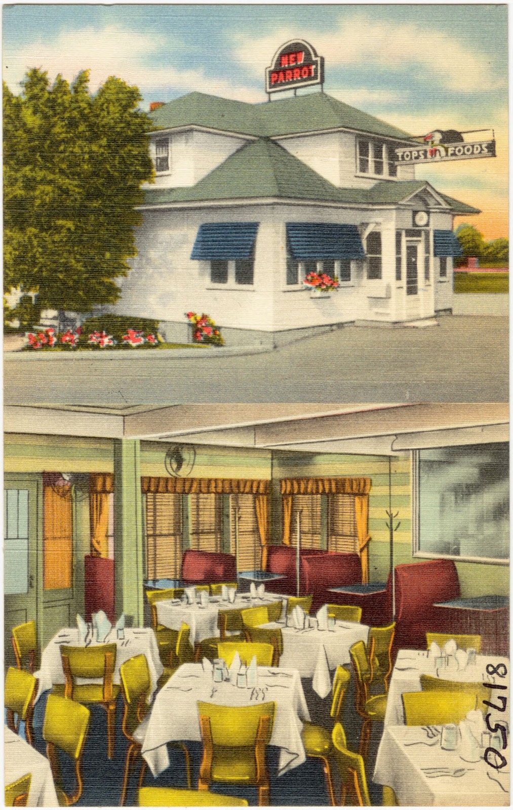 New Parrot, Outer Washington St., Watertown, N. Y., Boston Public Library - undated