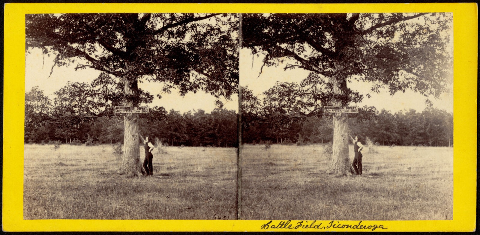 Battle field at Ticonderoga. (See sign on tree.), Boston Public Library - undated