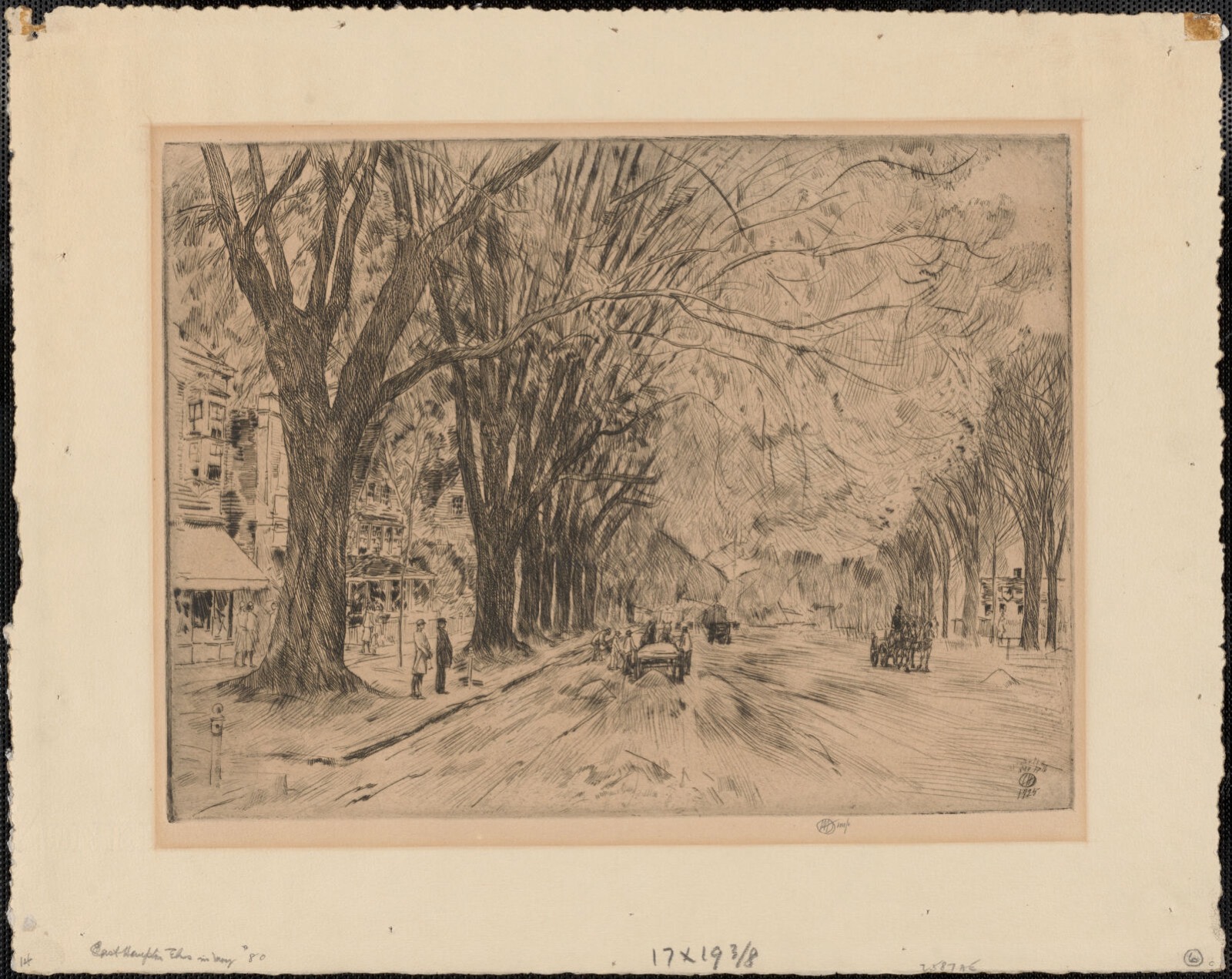 Easthampton Elms in May, Boston Public Library - undated