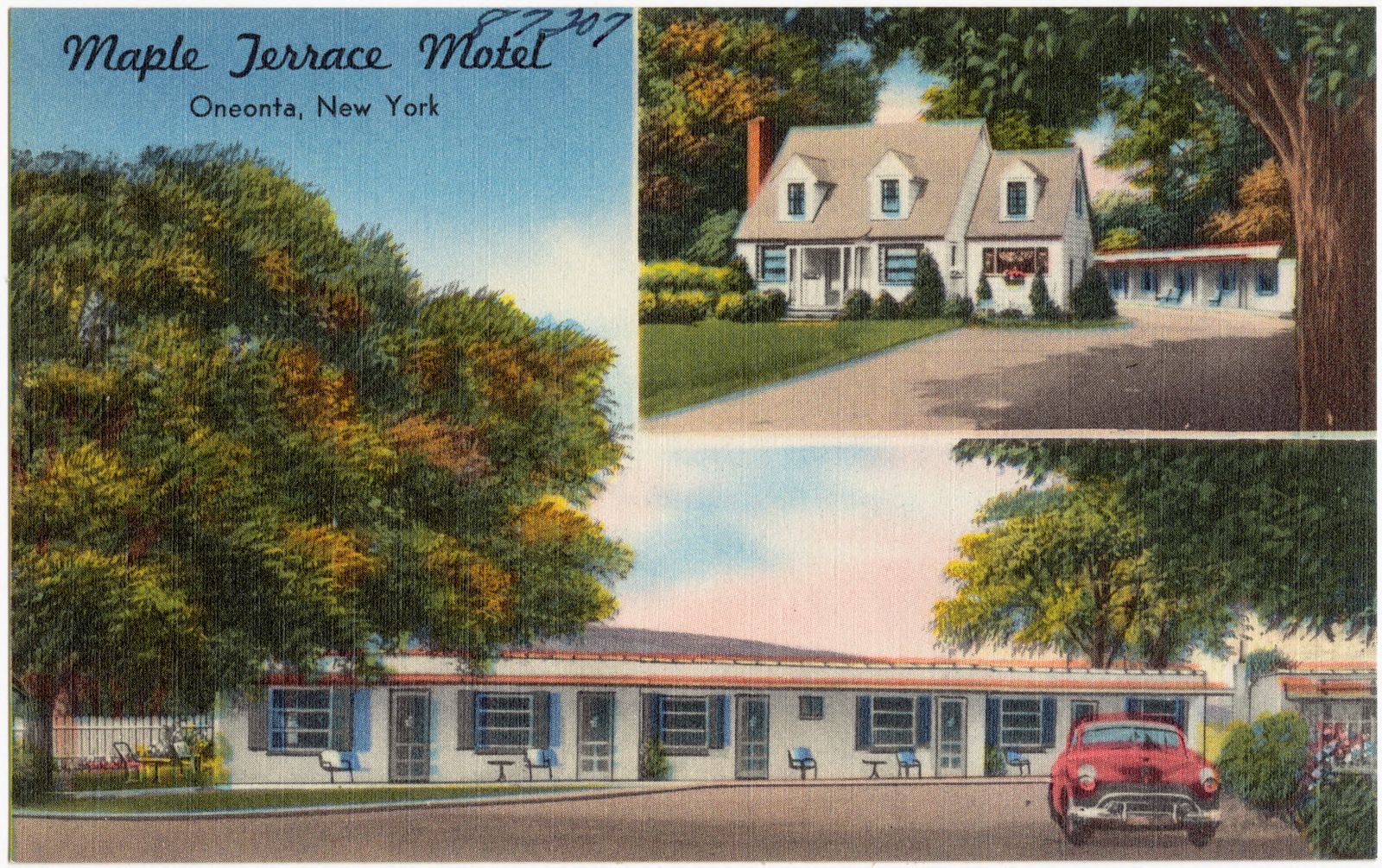 Maple Terrace Motel, Oneonta, New York, Boston Public Library - undated
