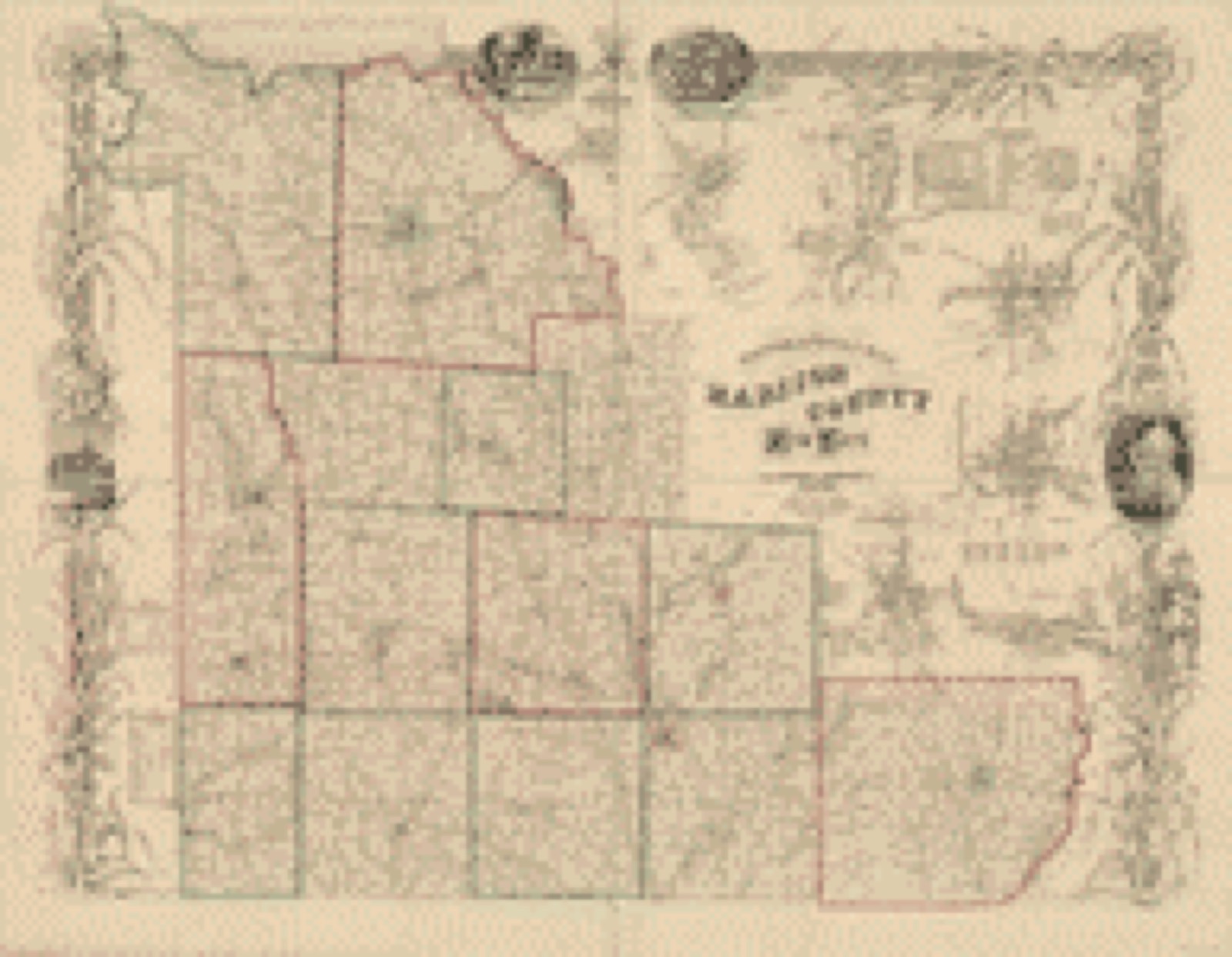 Land ownership map, 1853 - Topographical map of Madison County, New York : from actural surveys (and records)