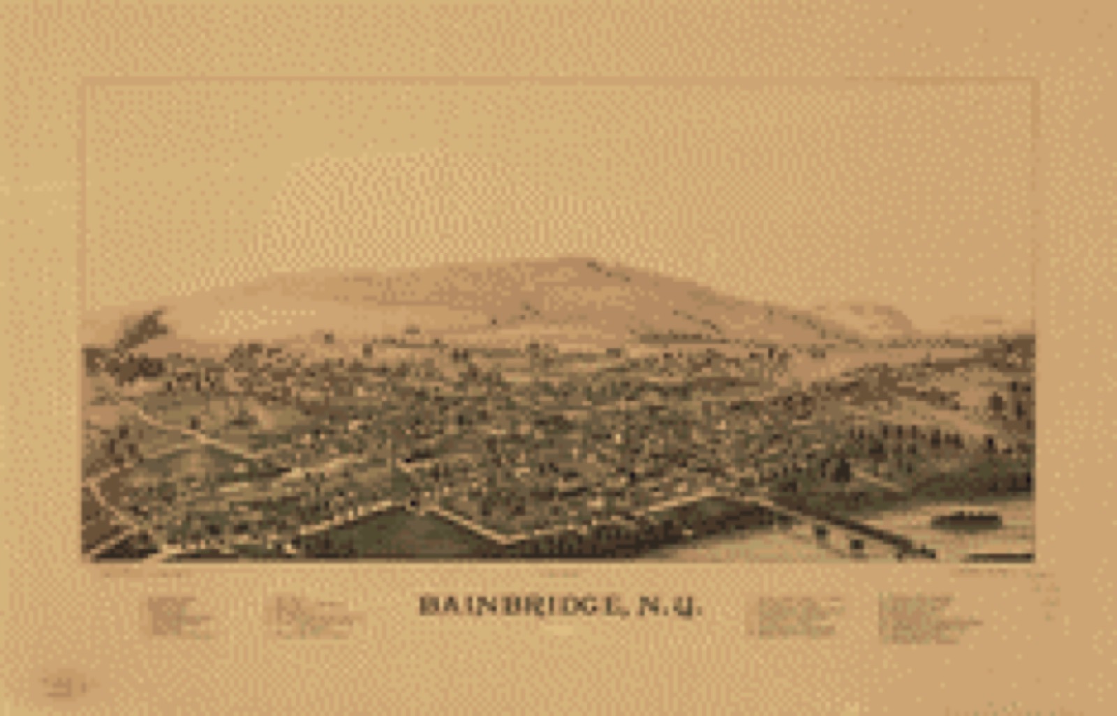 Bird's-eye view, 1889 - Bainbridge, N.Y.