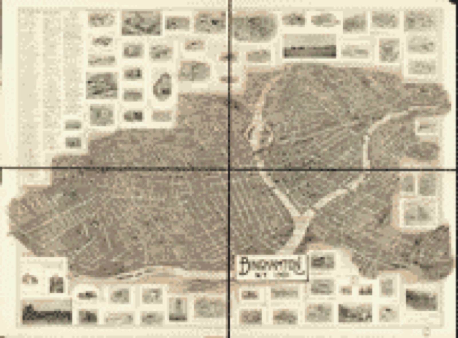 Bird's-eye view, 1901 - Binghamton, N.Y. 1901