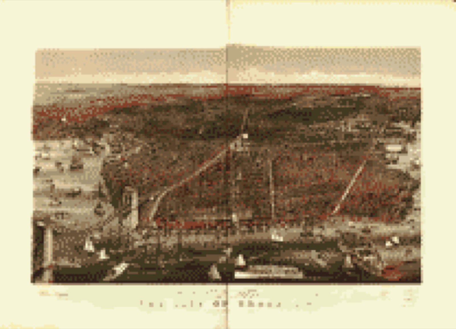 Bird's-eye view, 1879 - The city of Brooklyn