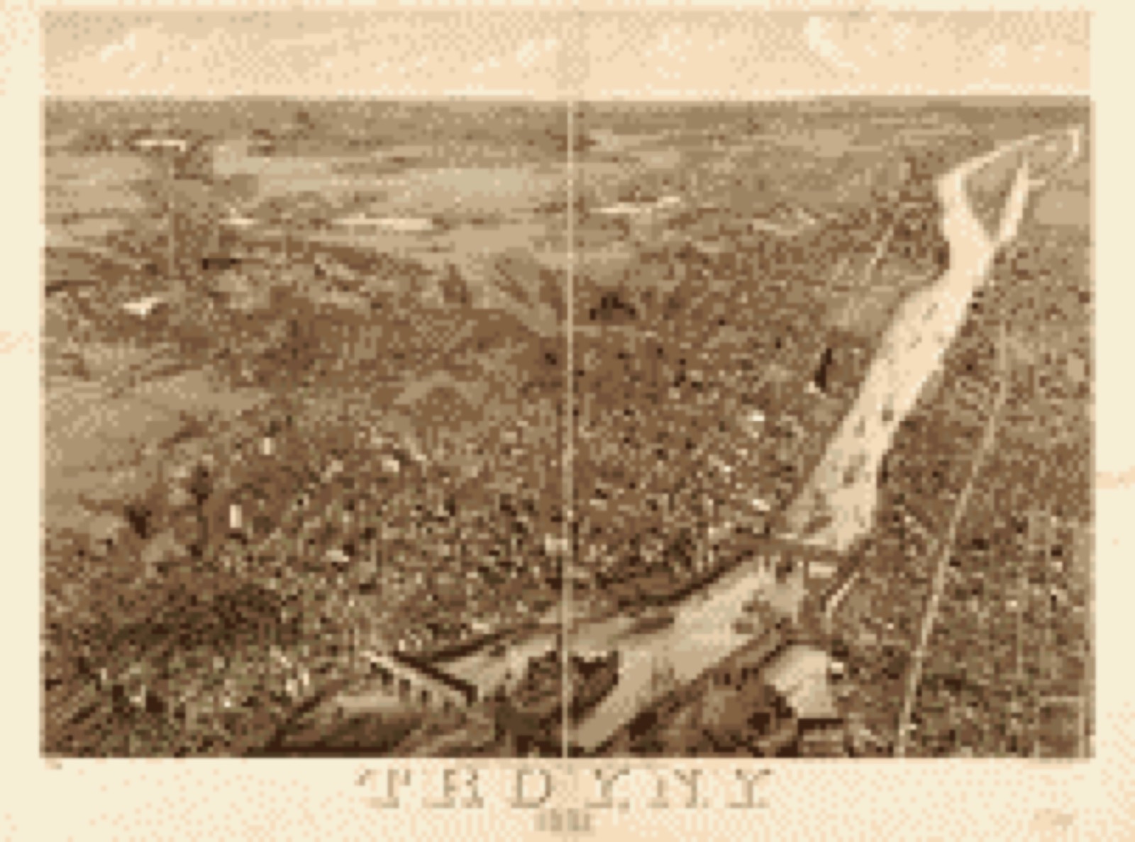 Bird's-eye view, 1881 - Troy, N.Y. 1881