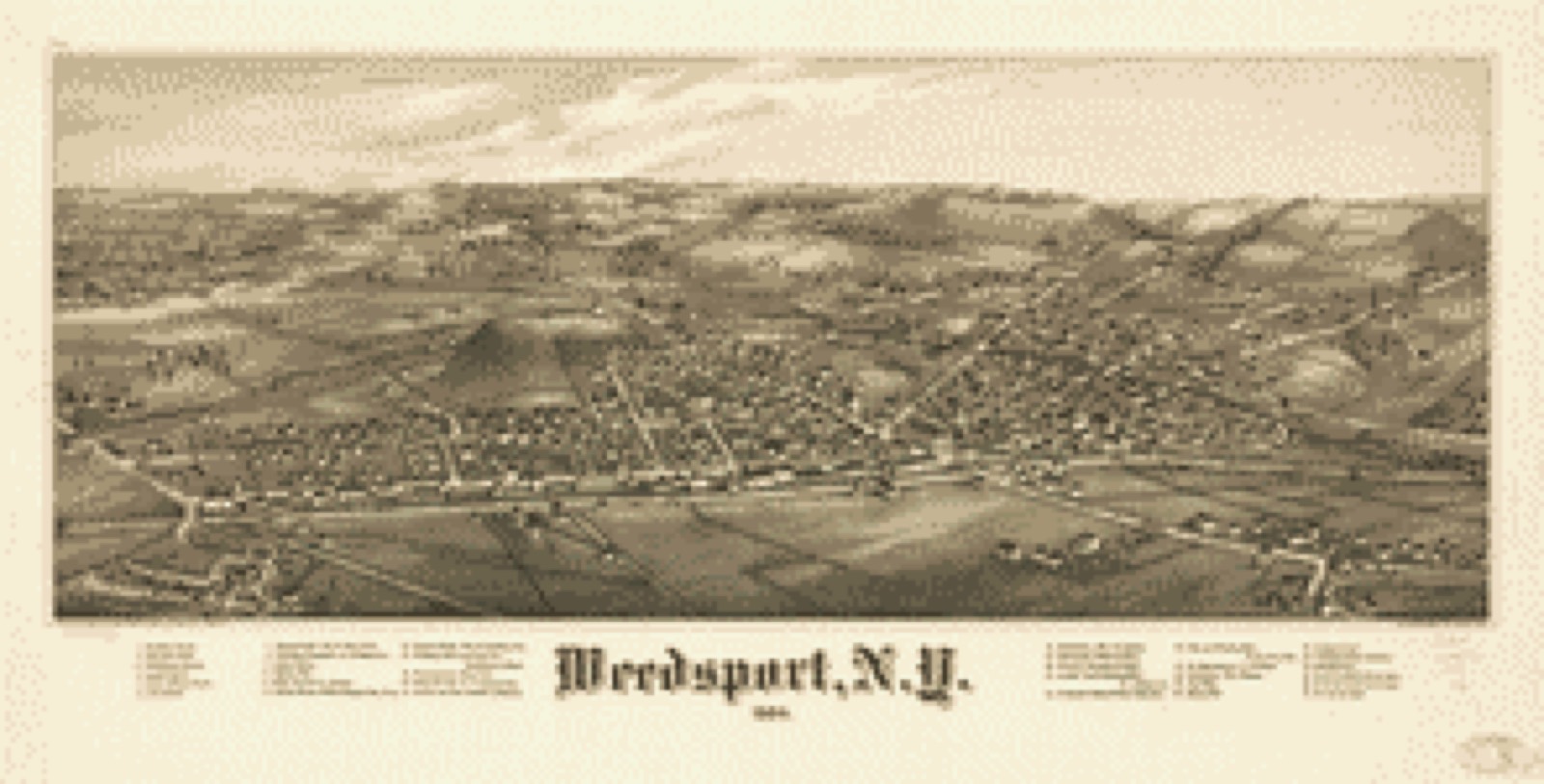 Bird's-eye view, 1885 - Weedsport, N.Y. 1885