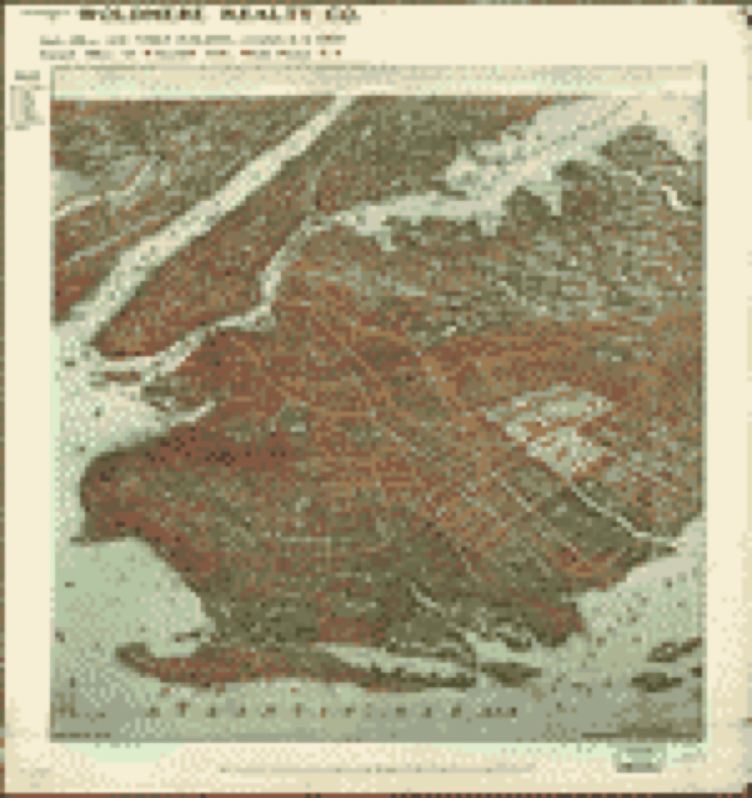 Bird's-eye view, 1908 - [Bird's-eye-view of Brooklyn]
