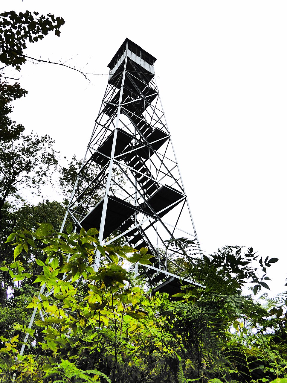 Photograph of Kane Mountain Fire Observation Station