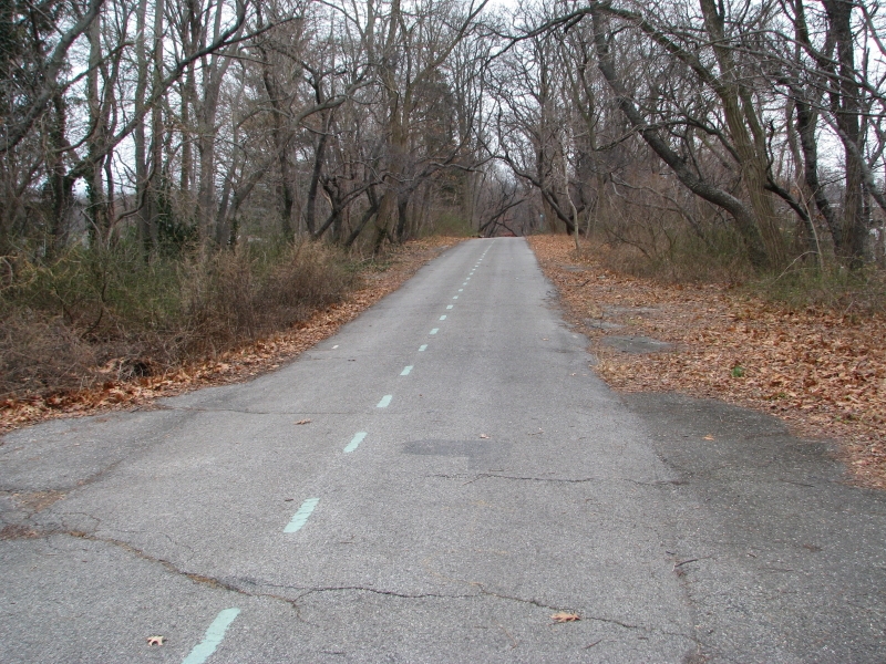 Photograph of Long Island Motor Parkway