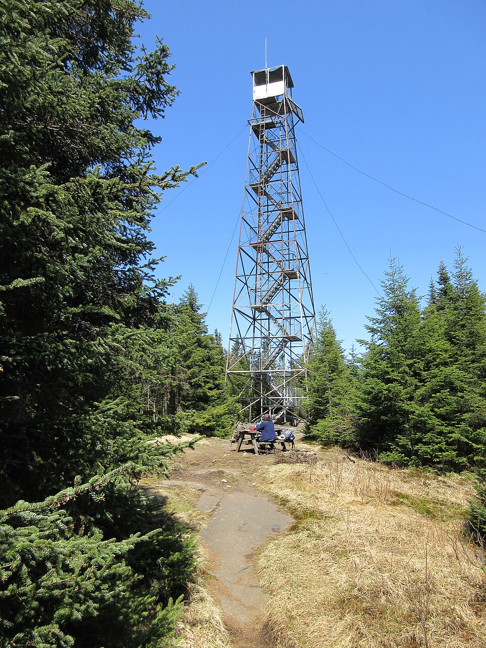 Photograph of Wakely Mountain Fire Observation Station
