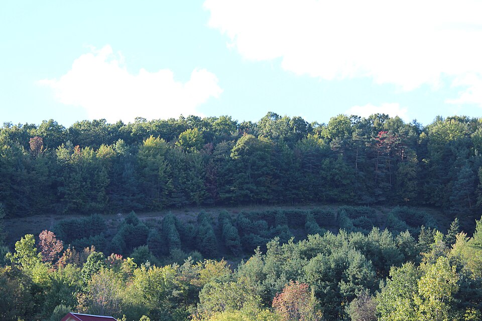 Photograph of Canisteo Living Sign
