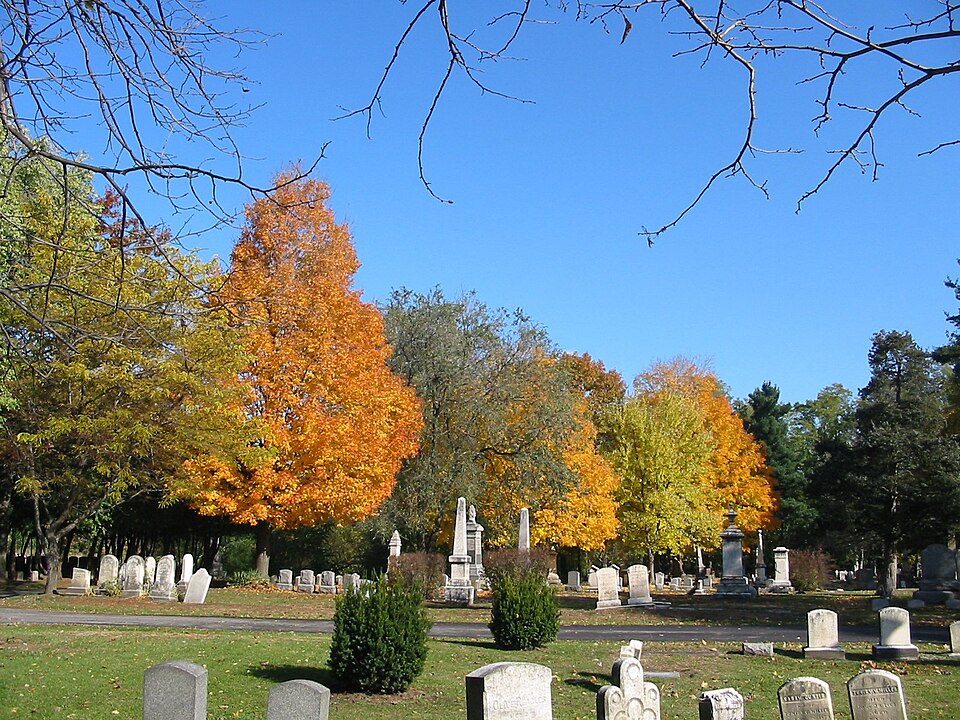 Photograph of Vale Cemetery and Vale Park