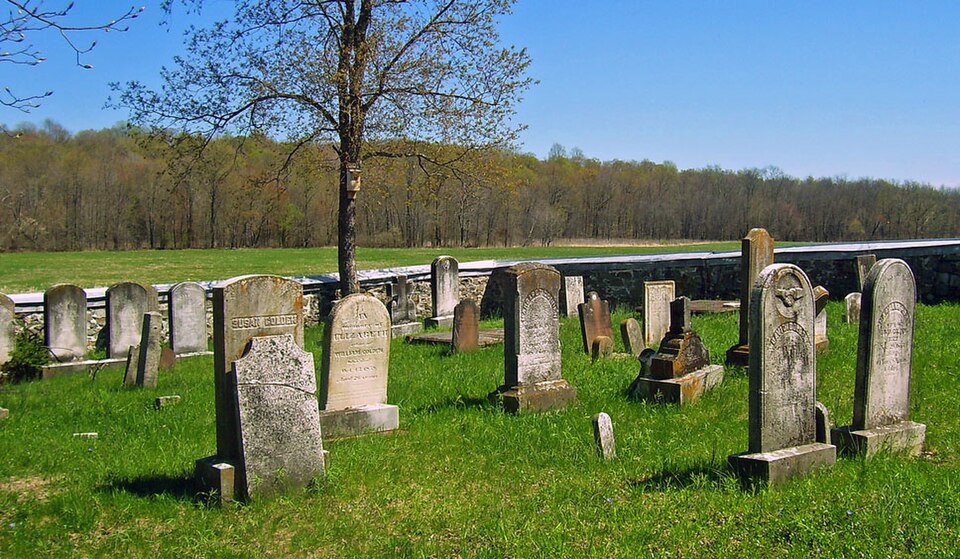 Photograph of Colden Family Cemetery