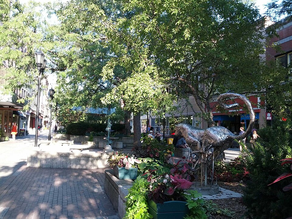 Photograph of Ithaca Downtown Historic District