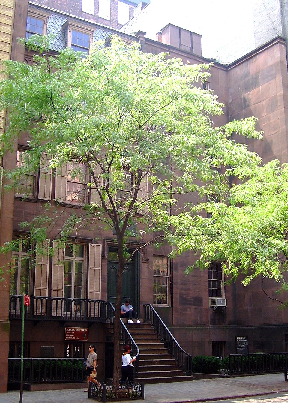 Photograph of Theodore Roosevelt Birthplace National Historic Site