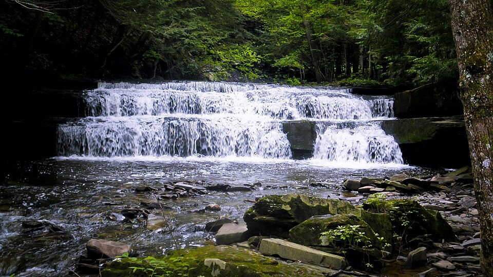 Photograph of Christman Bird and Wildlife Sanctuary