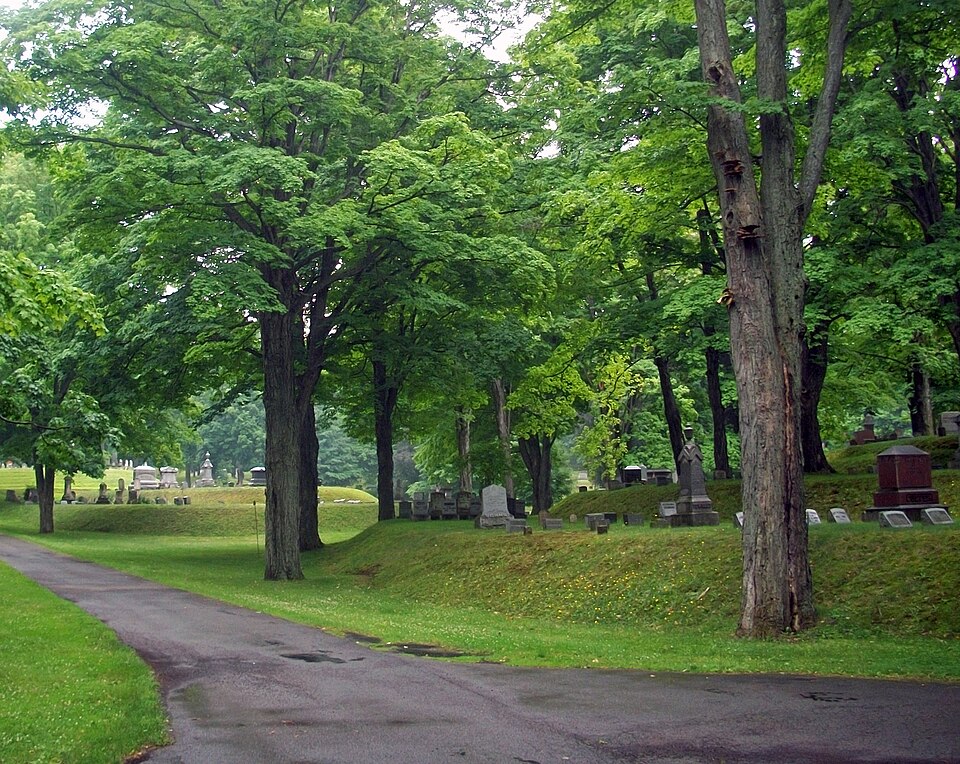 Photograph of Mount Albion Cemetery