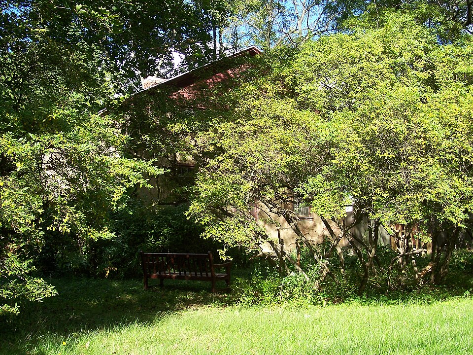 Photograph of Mud House
