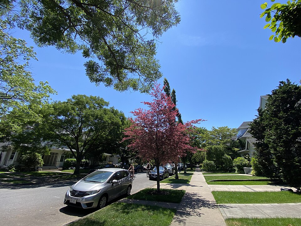 Photograph of Ditmas Park Historic District