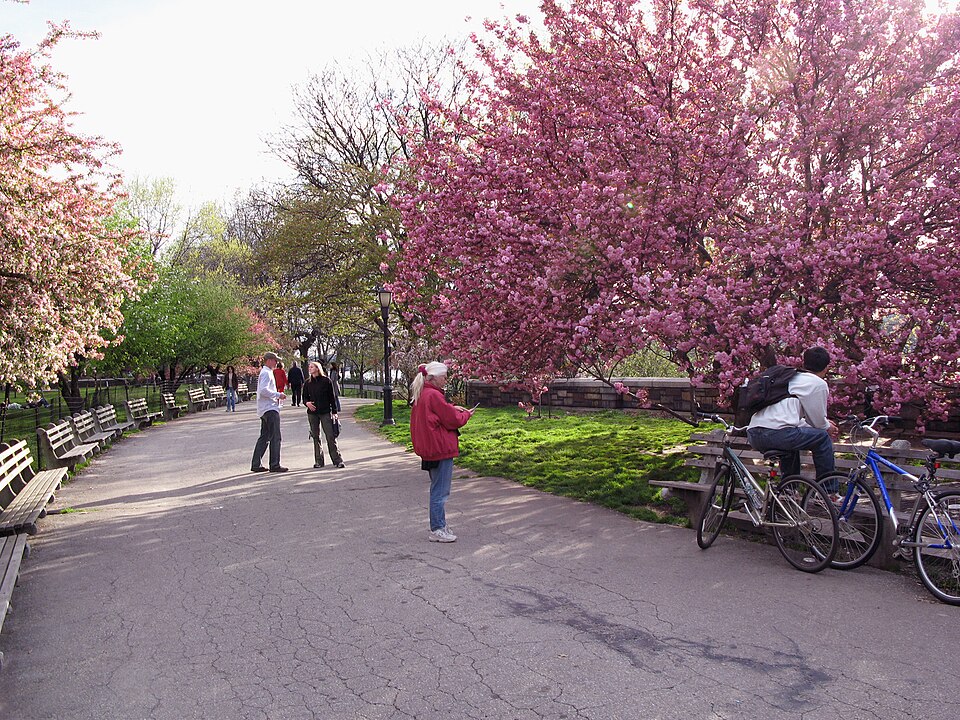 Photograph of Riverside Park