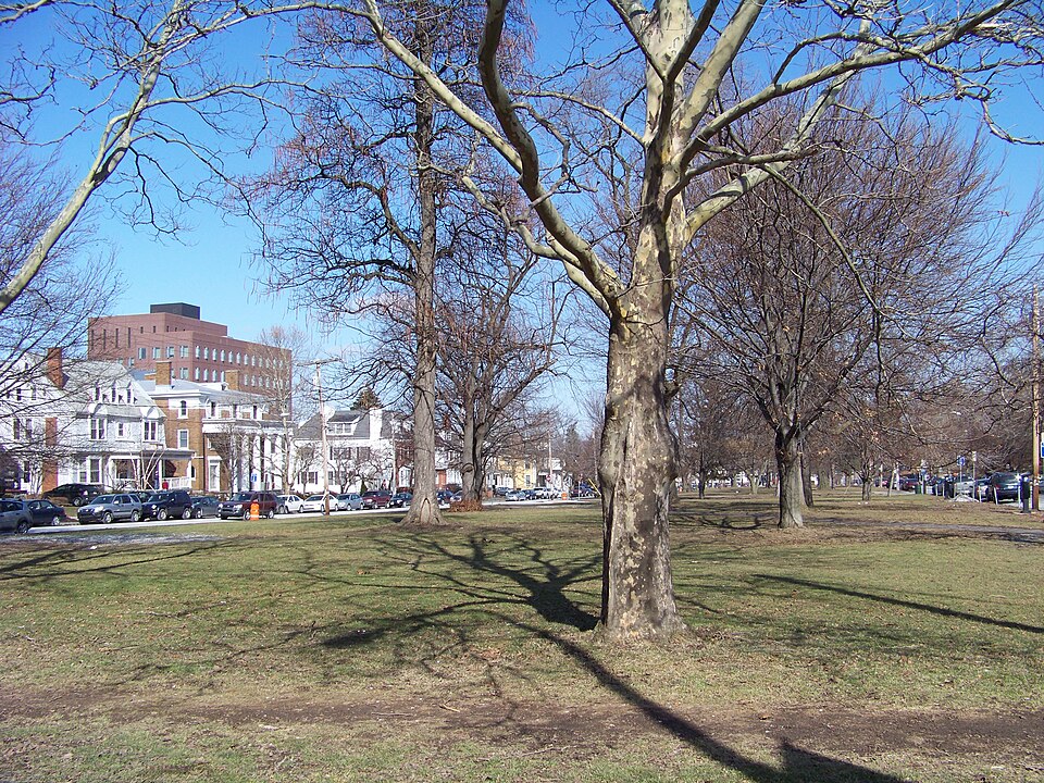 Photograph of Walnut Park Historic District