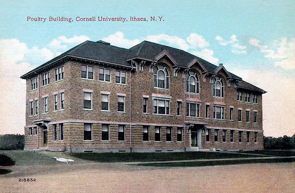 Photograph of Rice Hall