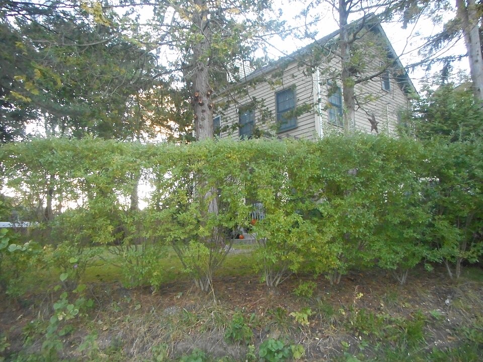 Photograph of Henry Williams House