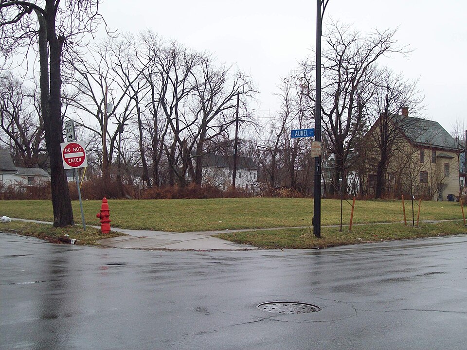 Photograph of Laurel and Michigan Avenues Row