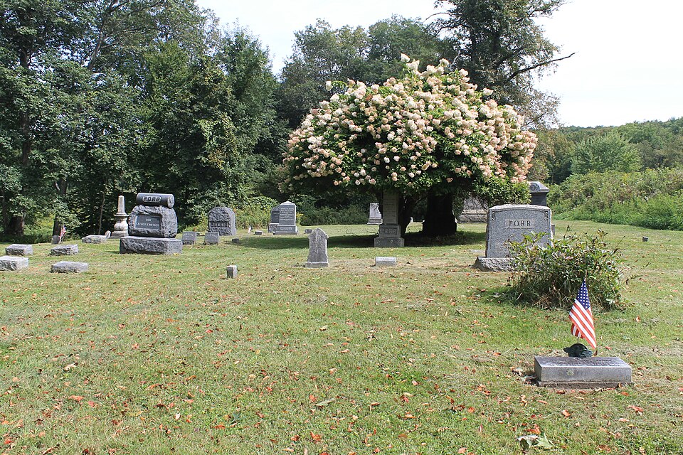 Photograph of Old Cochecton Cemetery