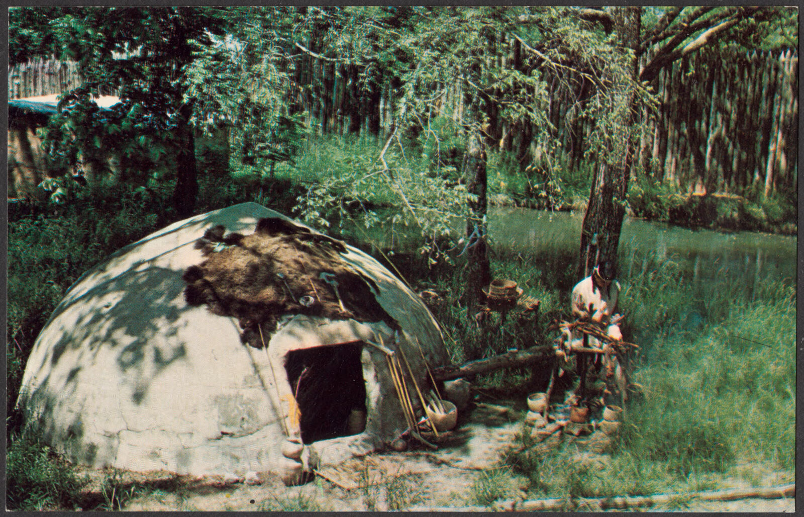 A Cherokee medicine man or Dida:hnvwi:sg (I), Boston Public Library - undated