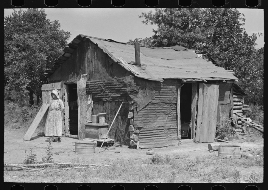 White woman, tenant farmer, feeding weeds to her hogs, McIntosh County, Oklahoma