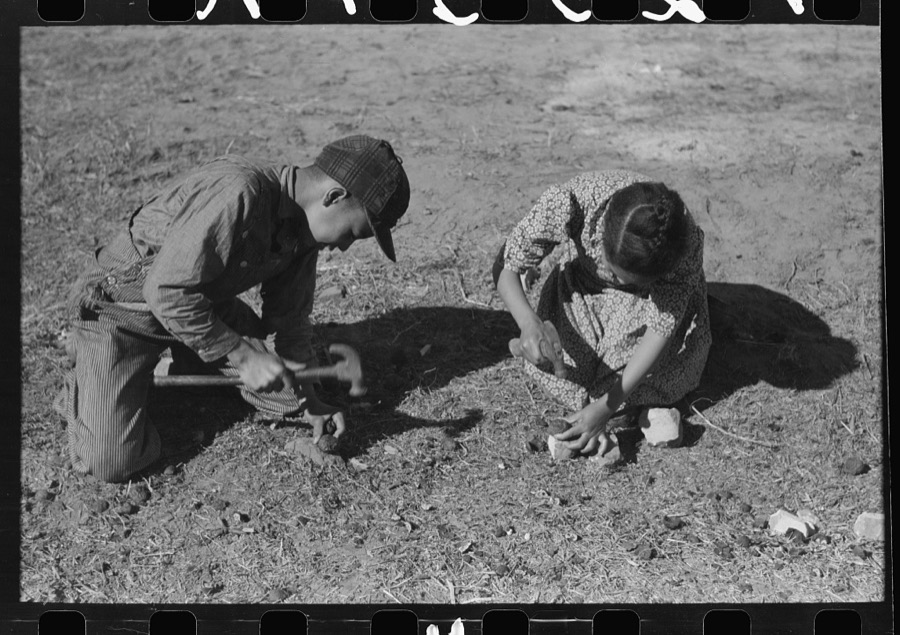 Children of Pomp Hall, Negro tenant farmer, cracking black walnuts which were grown on the farm, Creek County, Oklahoma. See general caption number 23