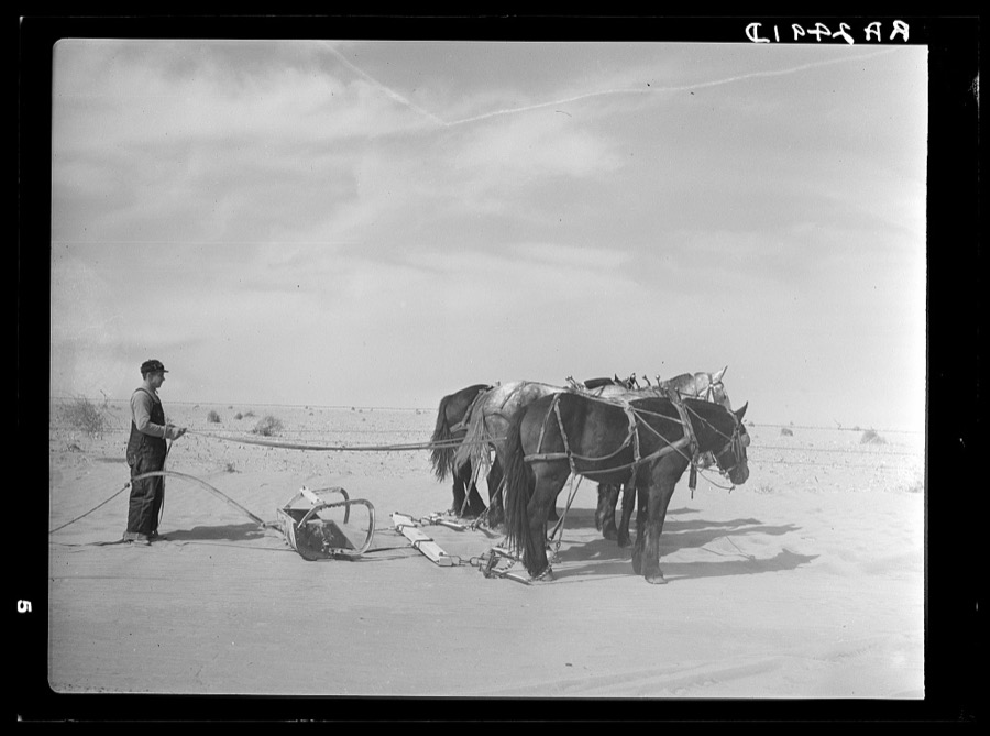 Removing drifts of soil which block the highways near Guymon, Oklahoma